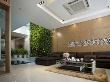 Mang màu xanh của thiên nhiên vào nhà ống